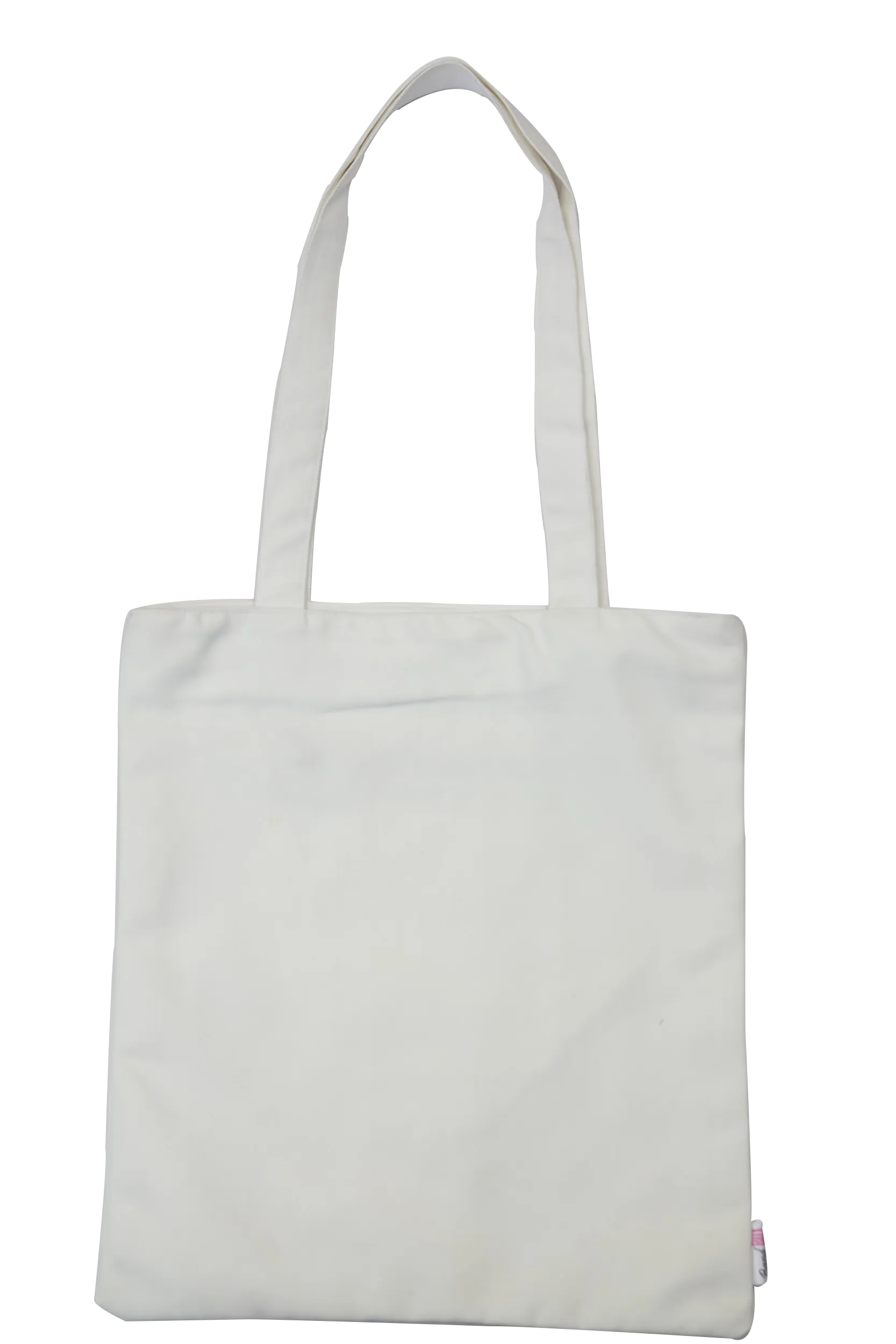 Building My Empire Canvas Bag