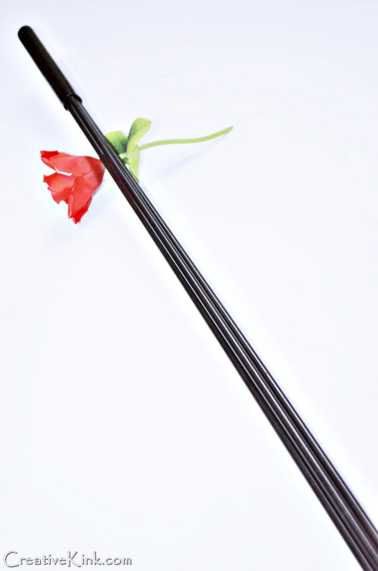 The Lash - BDSM Caning / Spanking Toy