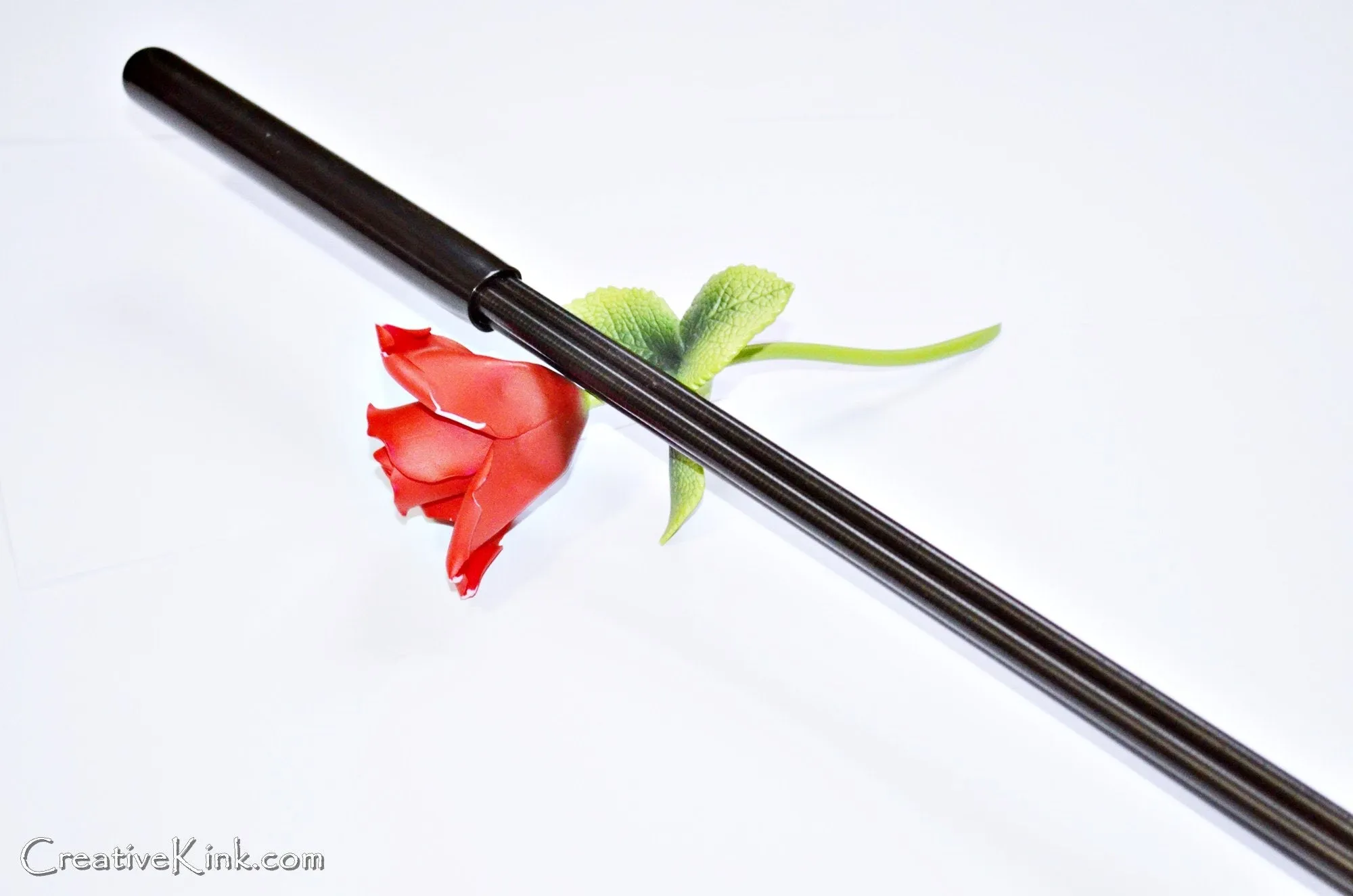 The Lash - BDSM Caning / Spanking Toy